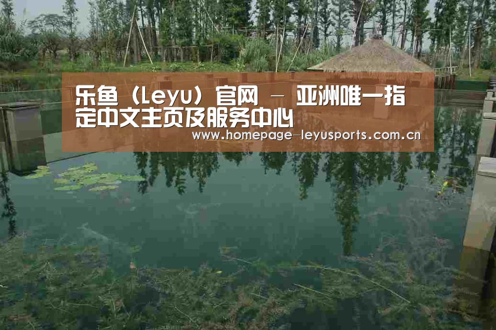 案例展示二(图1)