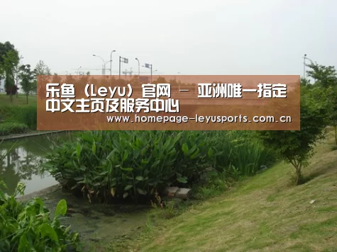 案例展示四