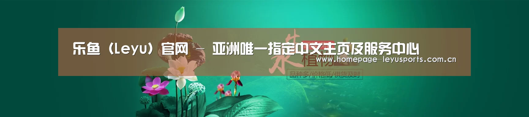 鲜花水草花卉网站模板