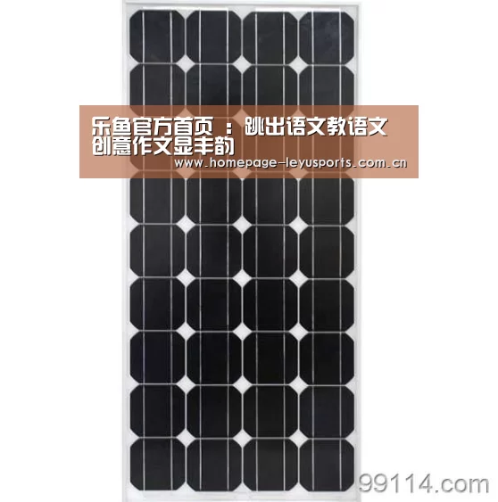 登录入口