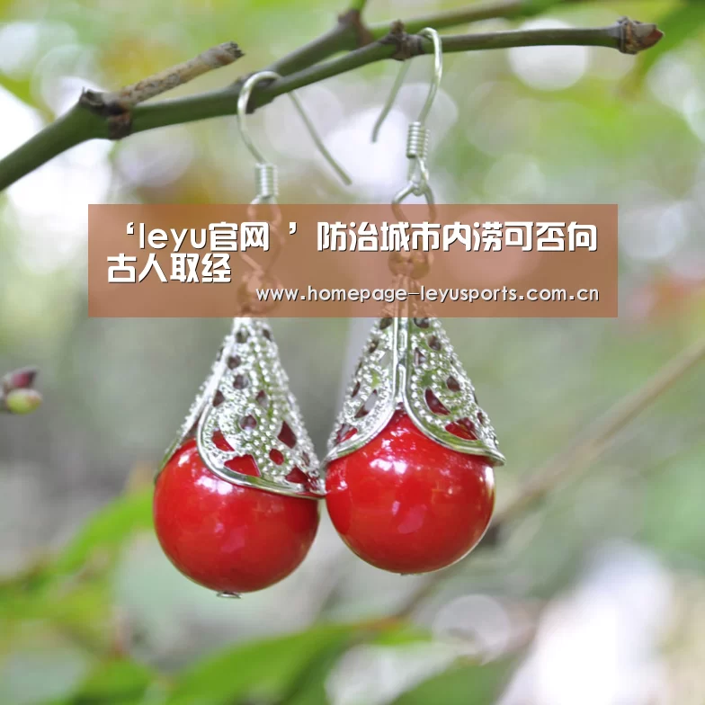  登录入口