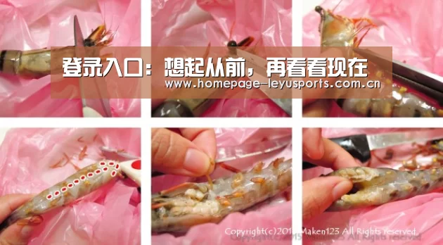 登录入口:想起从前,再看看现在(图4) 乐鱼官方首页