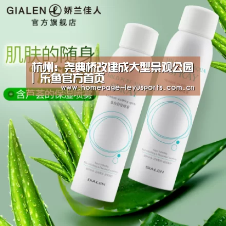  登录入口