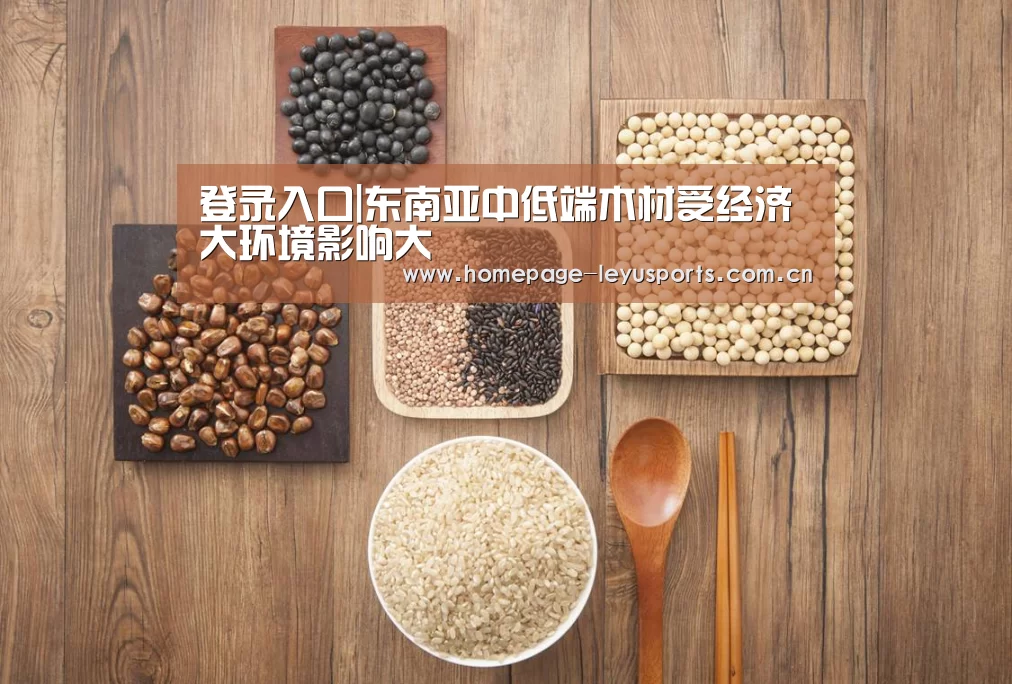  登录入口