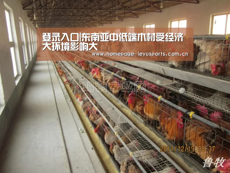  登录入口