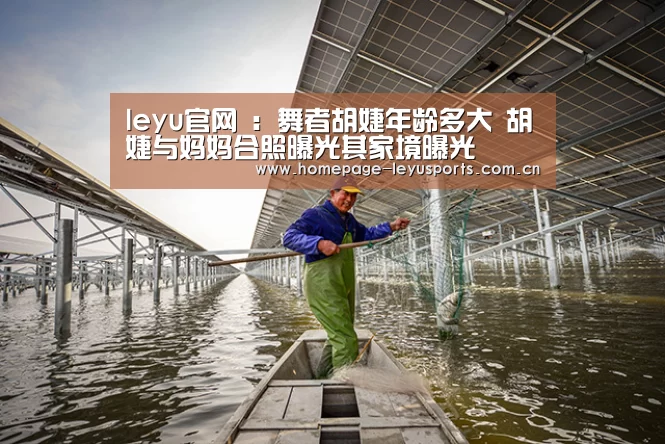  登录入口
