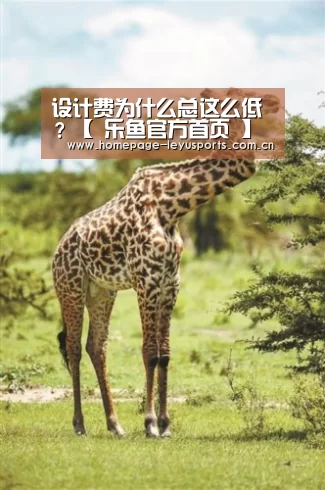 登录入口