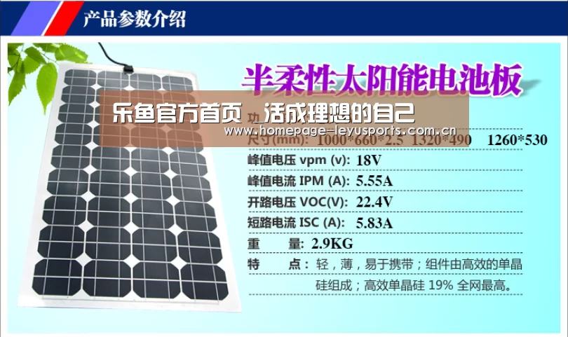  登录入口