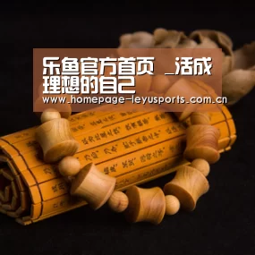  登录入口