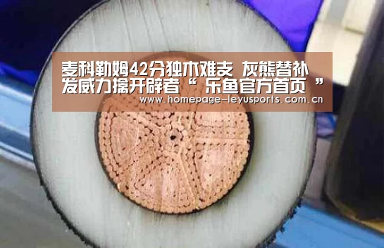 麦科勒姆42分独木难支 灰熊替补发威力擒开辟者“ 乐鱼官方首页 ”(图2) 乐鱼官方首页