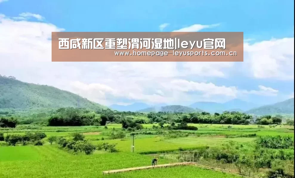 西咸新区重塑渭河湿地|leyu官网 (图2) 登录入口
